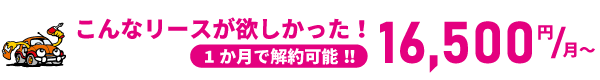 こんなリースが欲しかった！！